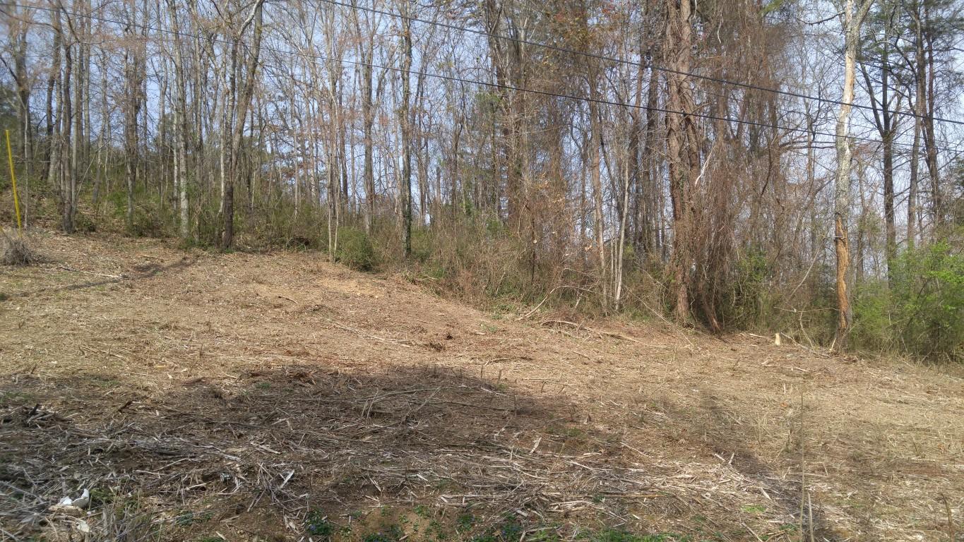 30-ej06.08 Clinton Avenue Spring City, TN 37381 - Photo 9 of 9 0320171232 (1) (Medium)
