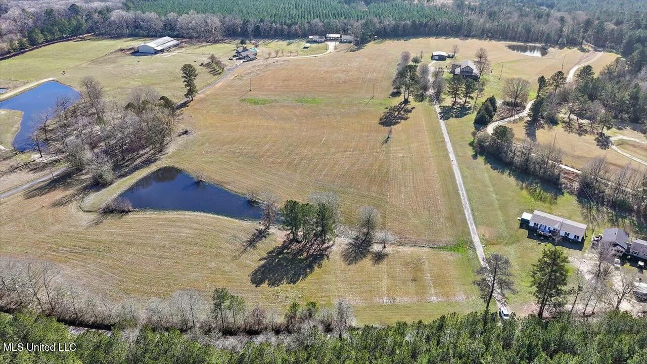 766 Pinola Braxton Road Braxton, MS 39044 - Photo 54 of 94 tempImagejE7439