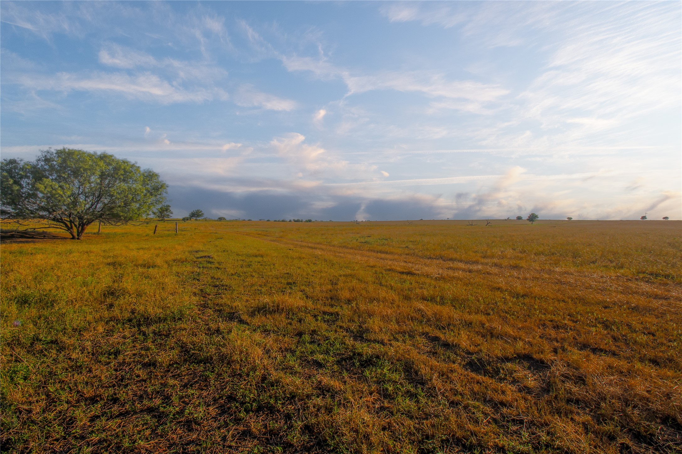 0 Cunningham Road Nocona, TX 76255 - Photo 17 of 18