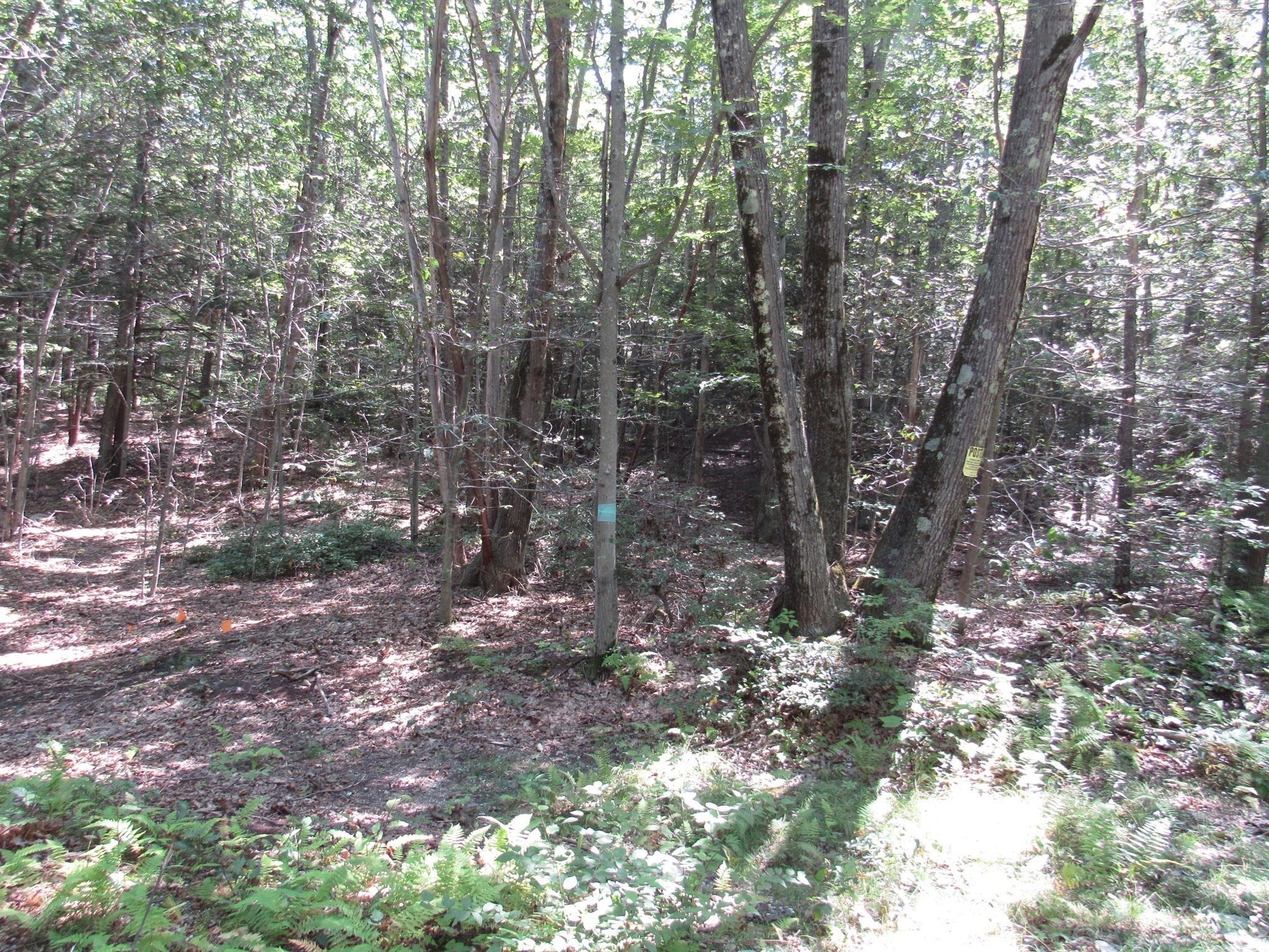 65 Round Hill Road Chester, MA 01011 - Photo 4 of 7 Gallery Image 4