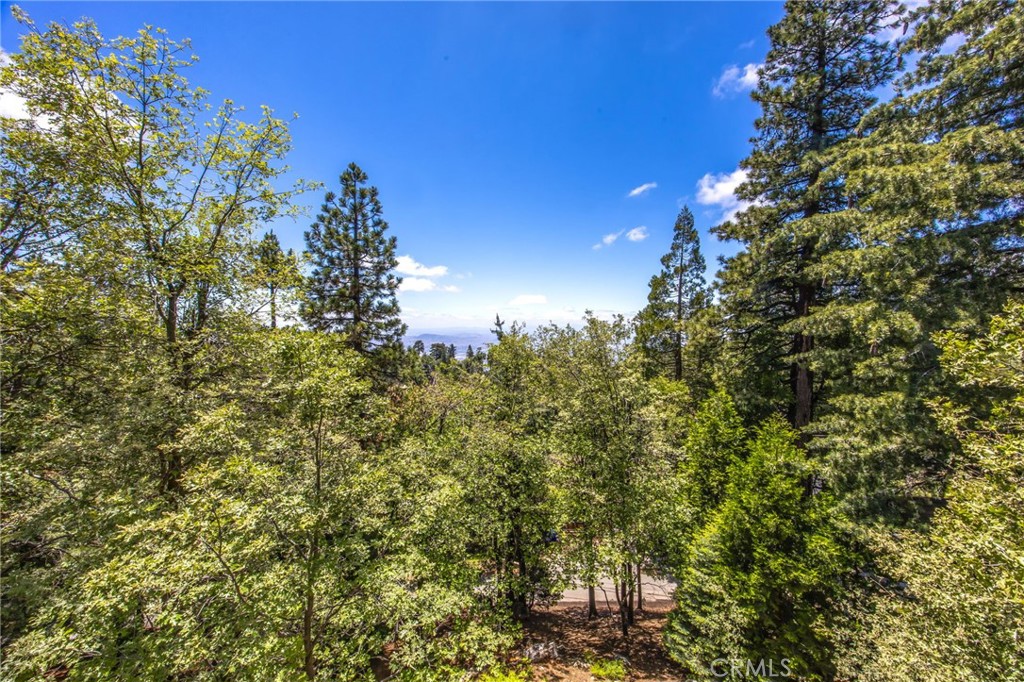 1134 Scenic Way Rimforest, CA 92378 - Photo 35 of 37 View from the Back of the Home of the Oversized Lot and Street below