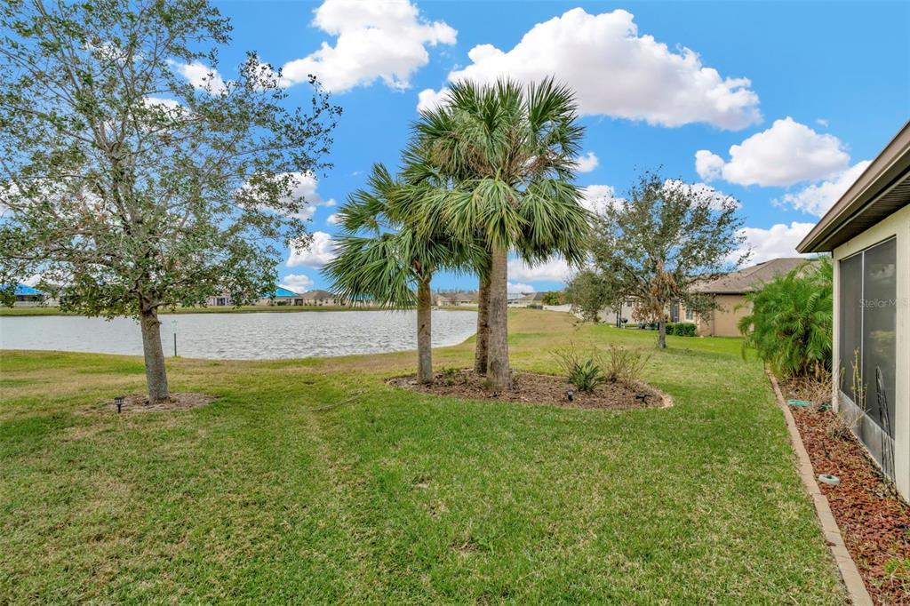 16340 Treasure Point Drive Wimauma, FL 33598 - Photo 35 of 50