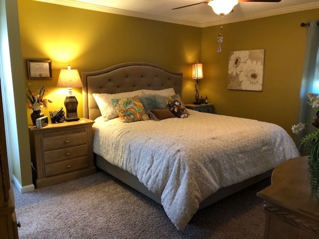 711 North Maple Street Adamsville, TN 38310 - Photo 2 of 24 Gallery Image 2