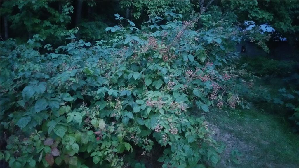 78 Roberts Shore Road Liberty, ME 04949 - Photo 3 of 11 Photo