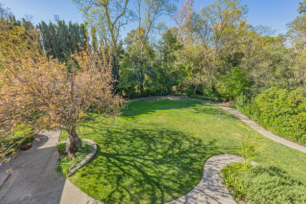 a view of a garden with plants