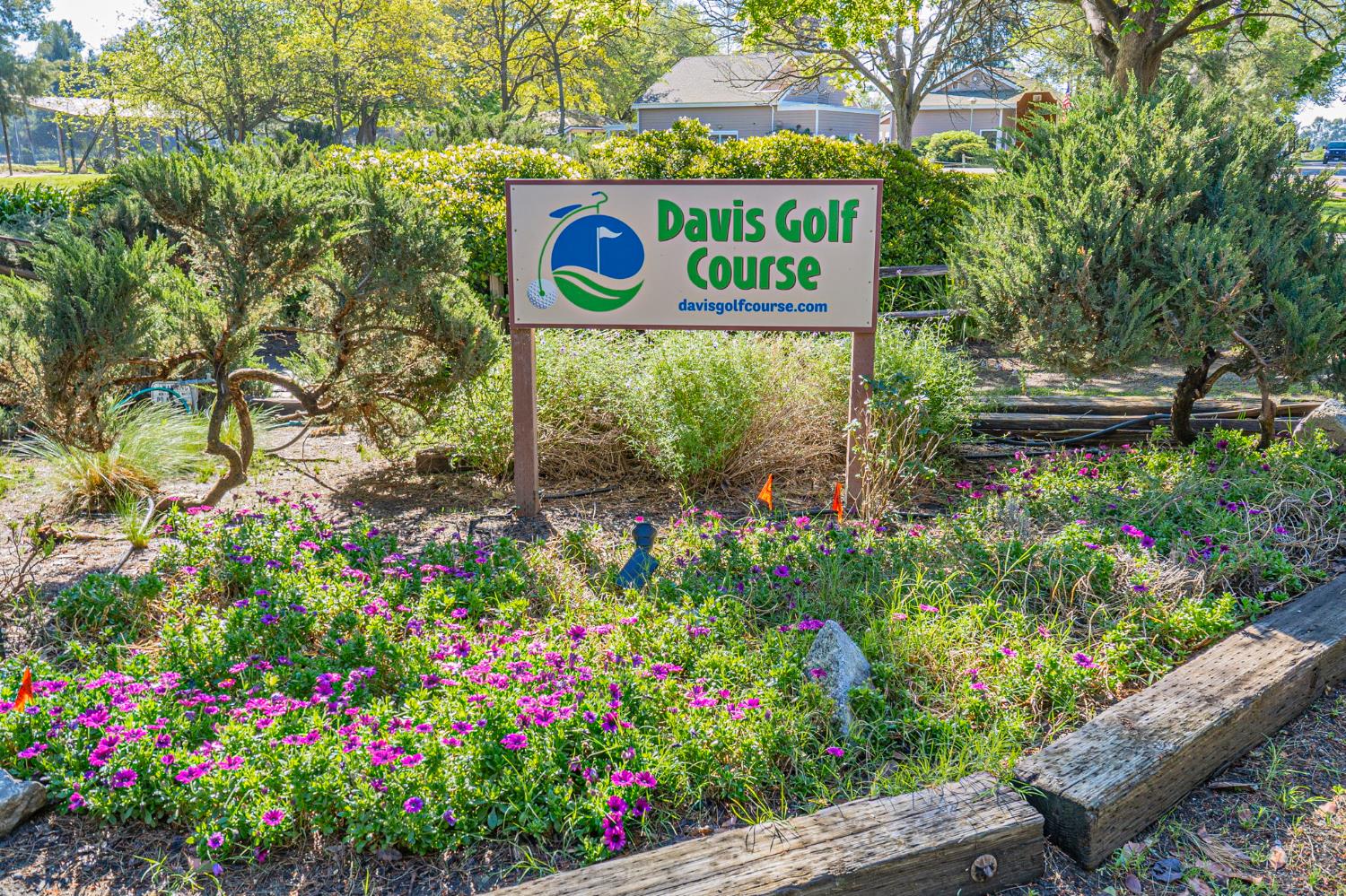 39604 Primrose Place Davis, CA 95616 - Photo 43 of 43