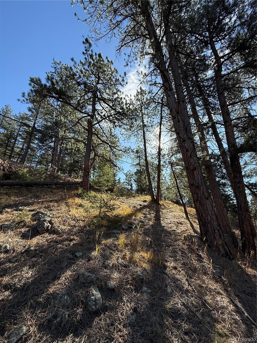 7438 South Turkey Creek Road Morrison, CO 80465 - Photo 11 of 14