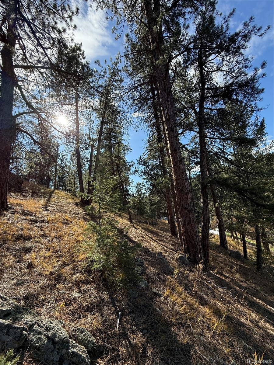 7438 South Turkey Creek Road Morrison, CO 80465 - Photo 12 of 14
