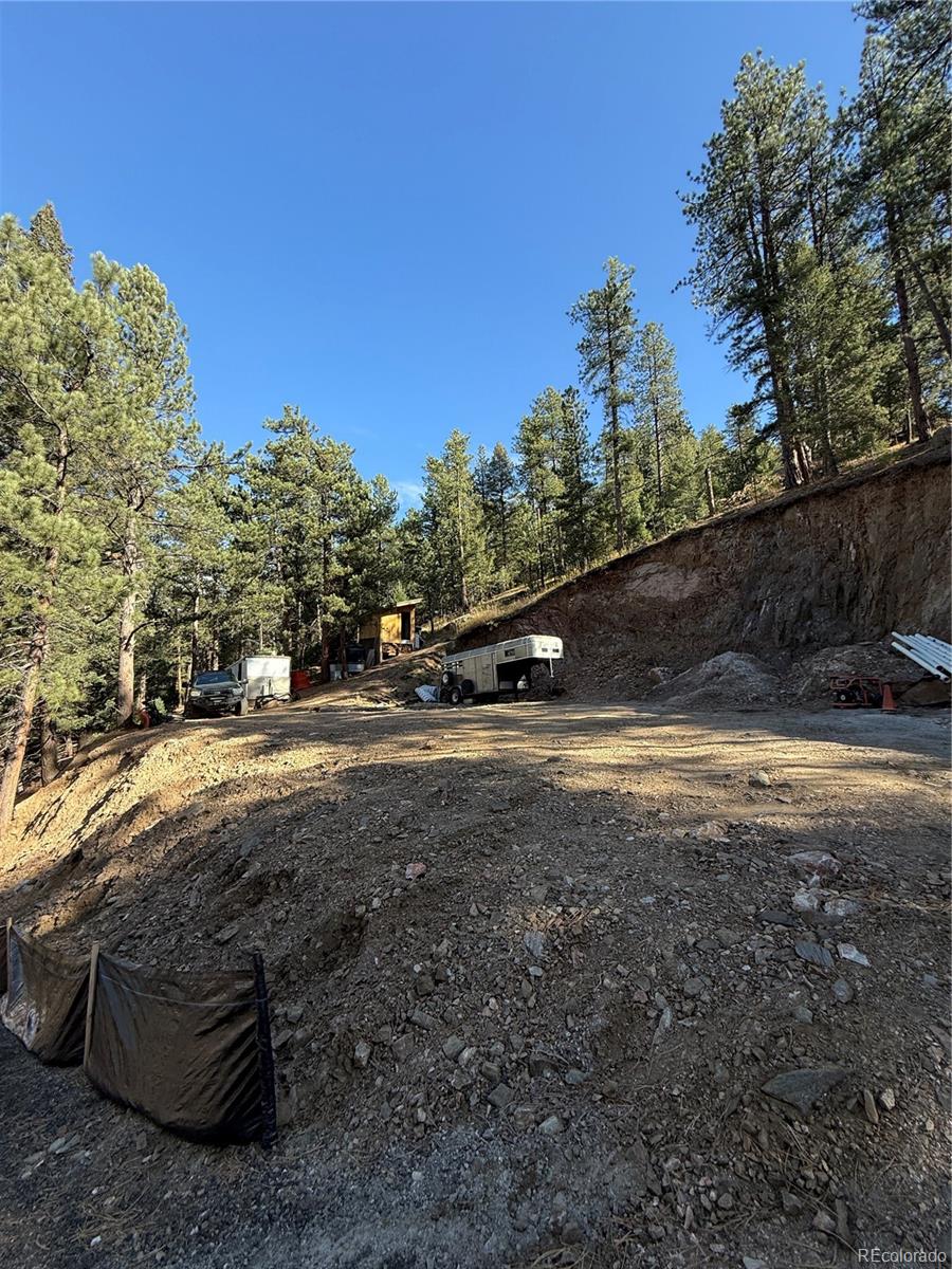 7438 South Turkey Creek Road Morrison, CO 80465 - Photo 13 of 14