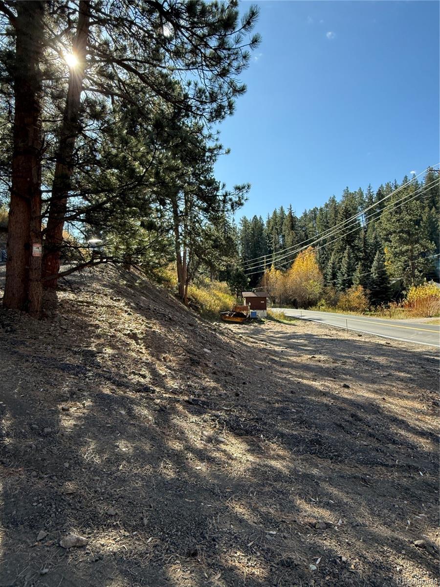 7438 South Turkey Creek Road Morrison, CO 80465 - Photo 14 of 14