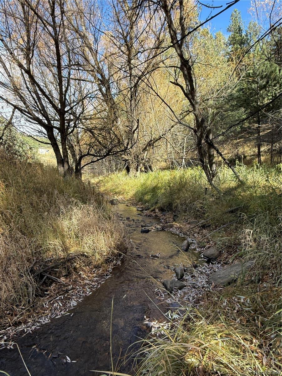 7438 South Turkey Creek Road Morrison, CO 80465 - Photo 4 of 14