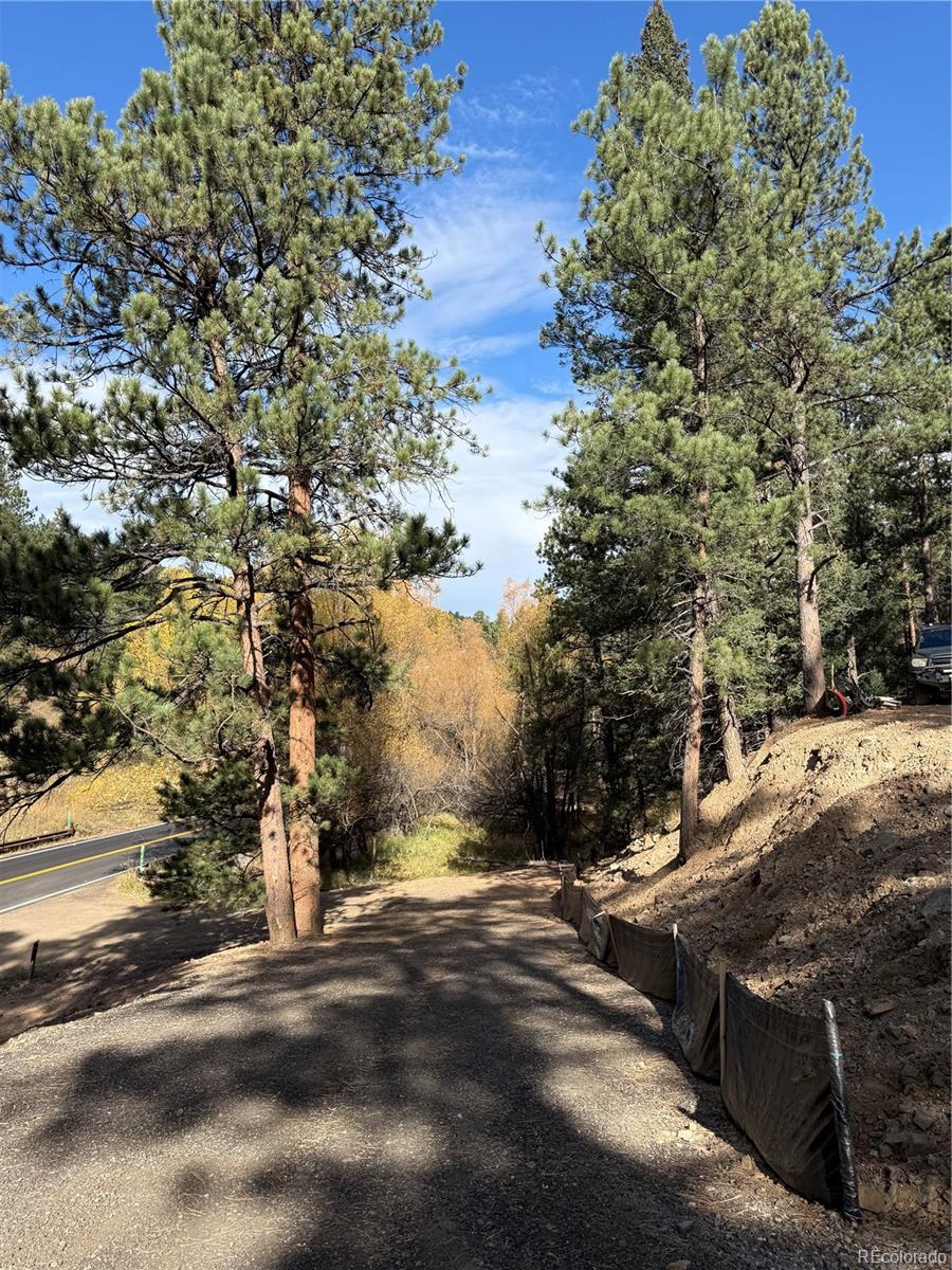 7438 South Turkey Creek Road Morrison, CO 80465 - Photo 5 of 14