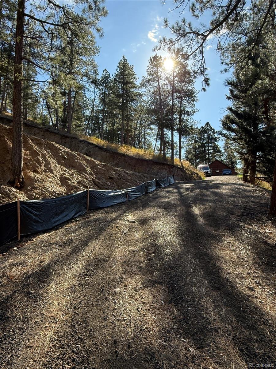 7438 South Turkey Creek Road Morrison, CO 80465 - Photo 6 of 14