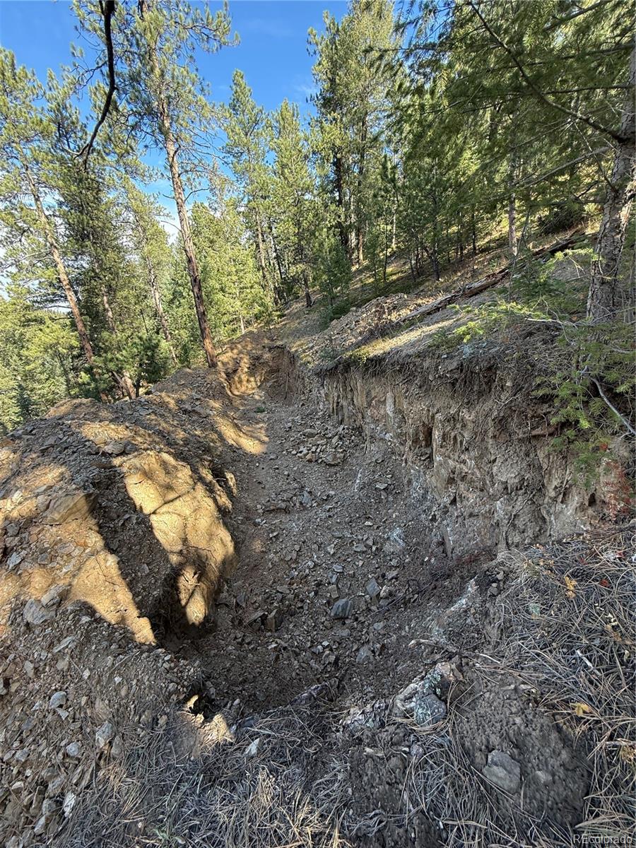 7438 South Turkey Creek Road Morrison, CO 80465 - Photo 7 of 14
