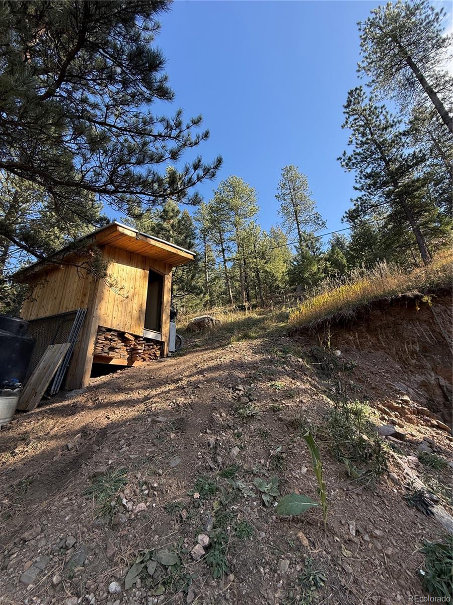 7438 South Turkey Creek Road Morrison, CO 80465 - Photo 8 of 14