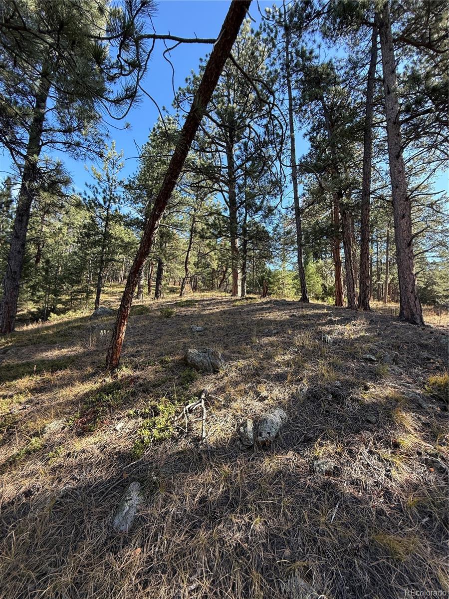 7438 South Turkey Creek Road Morrison, CO 80465 - Photo 9 of 14