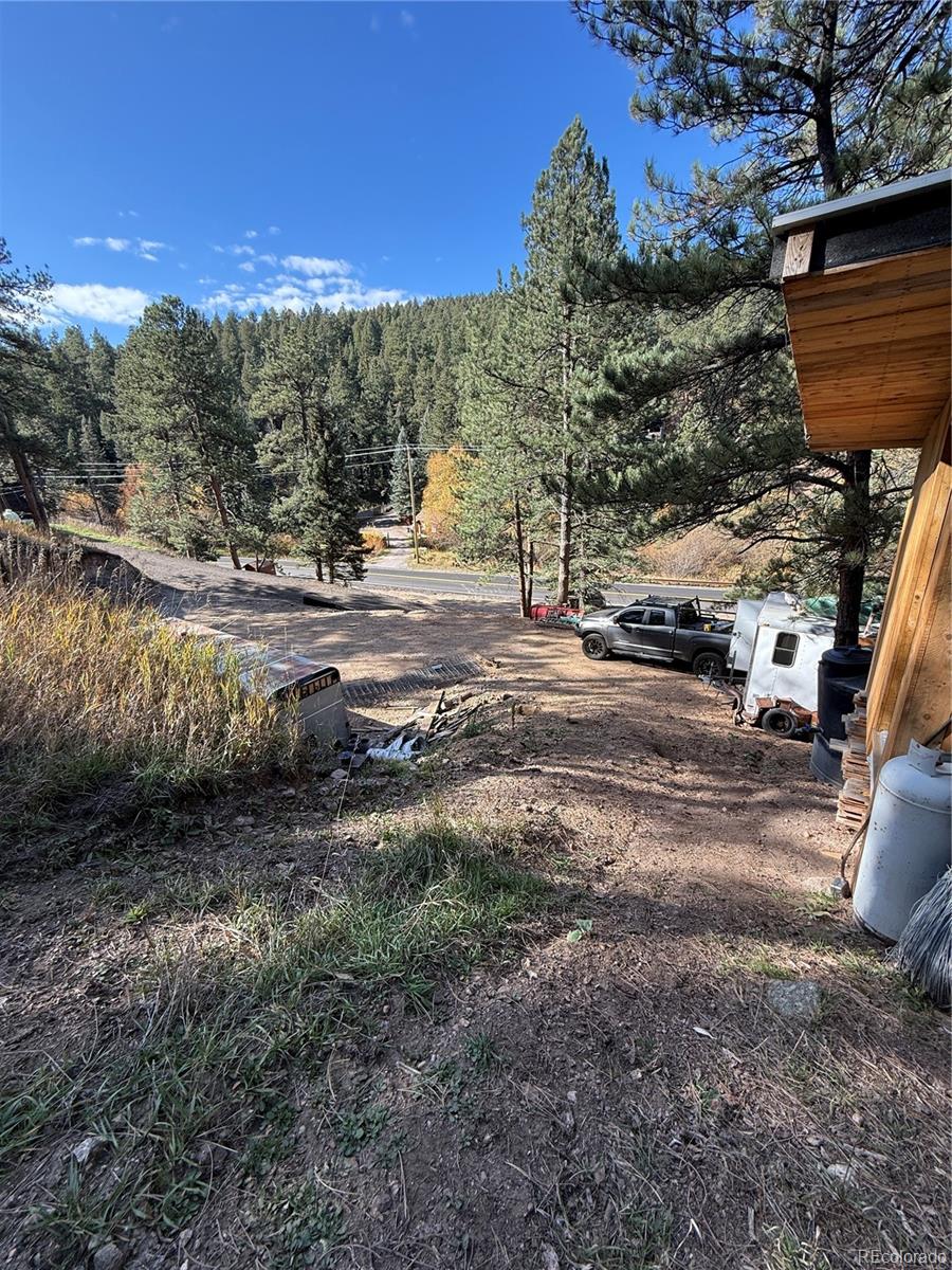 7438 South Turkey Creek Road Morrison, CO 80465 - Photo 10 of 14