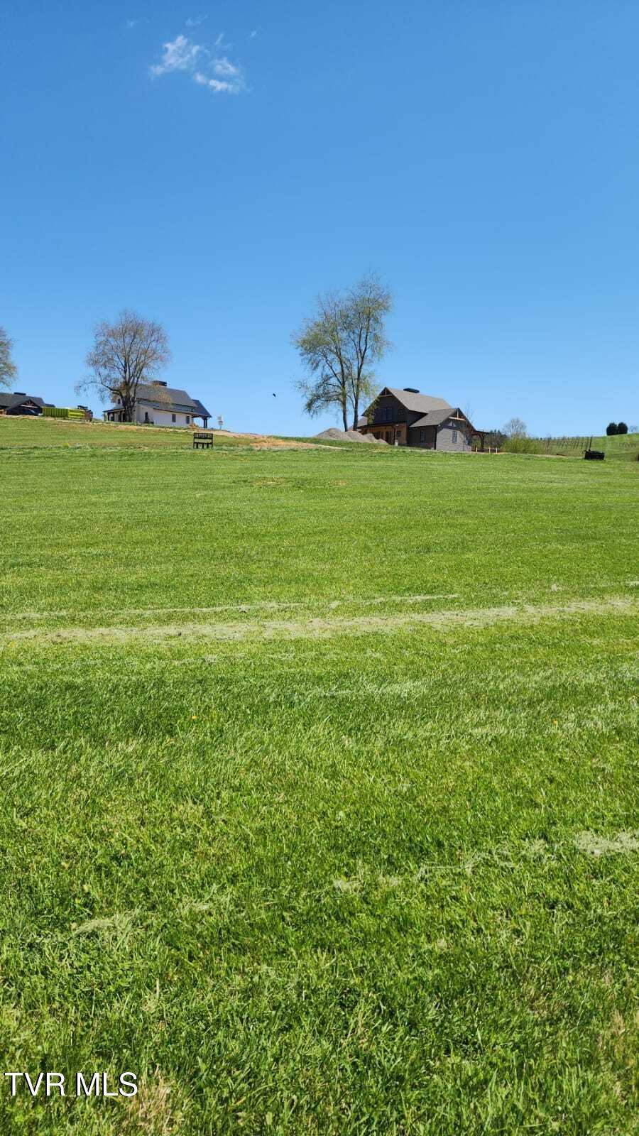 0 Dry Hill Road, Unit LOT 35 Butler, TN 37640 - Photo 6 of 7 IMG-20250416-WA0011