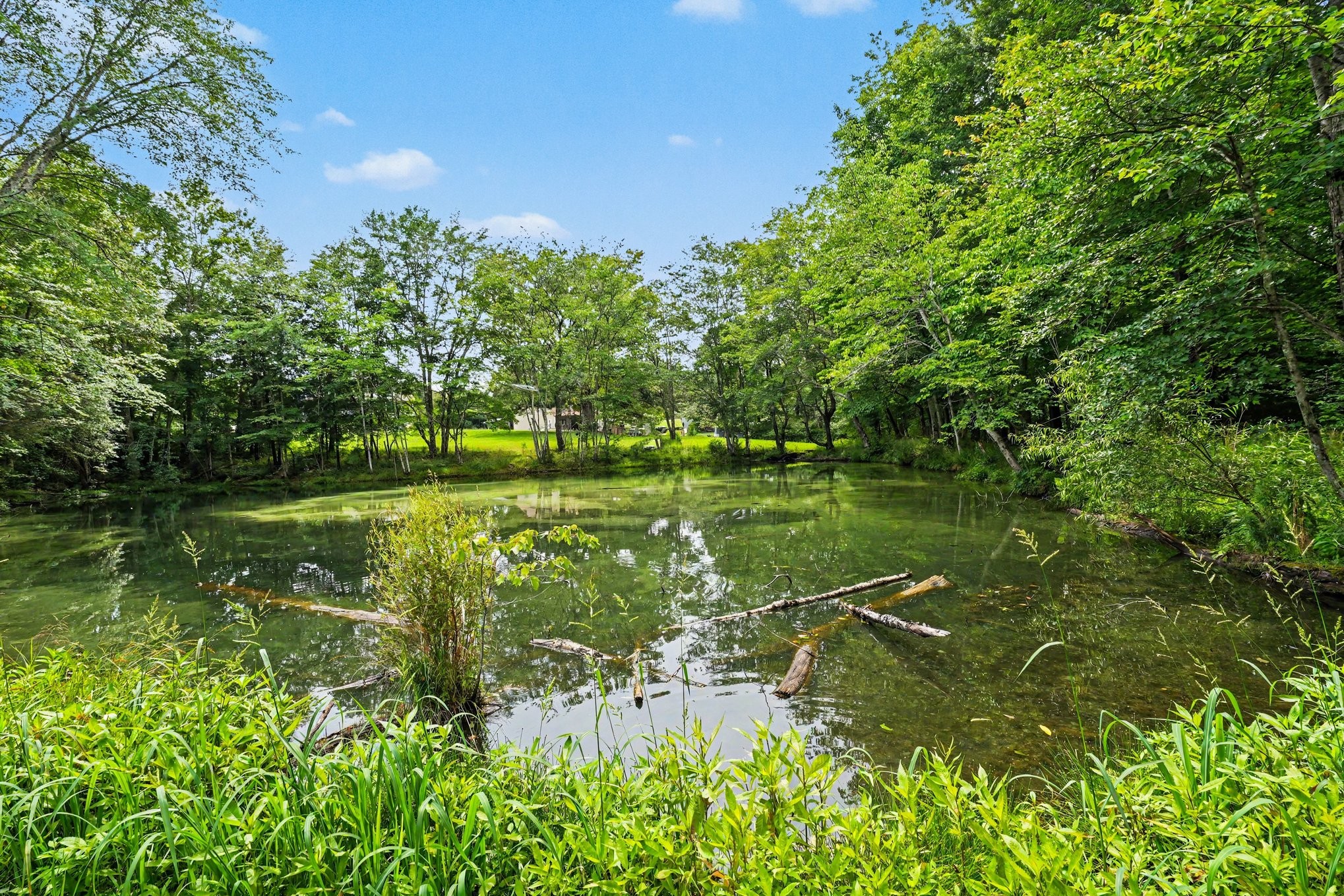 1415 Southside Road Southside, TN 37171 - Photo 29 of 35 a view of a lake with a yard