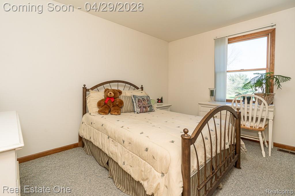 3739 Bethuy Road Casco, MI 48064 - Photo 19 of 35