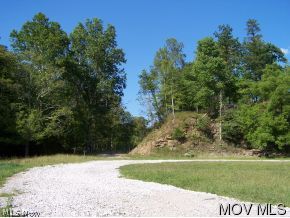 222 Masters Run Road Reedy, WV 25270 - Photo 6 of 6 Private drive to property