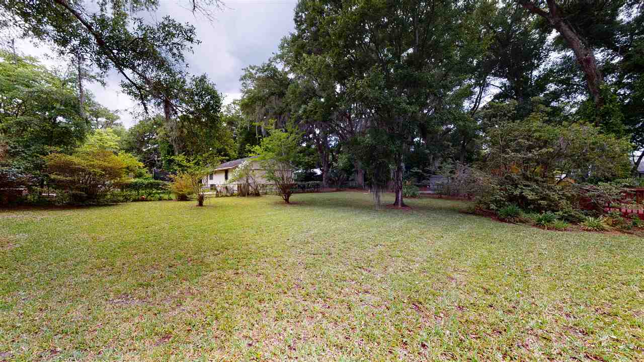 60 Palmer Street St. Augustine, FL 32084 - Photo 23 of 26 a view of a tree in a park