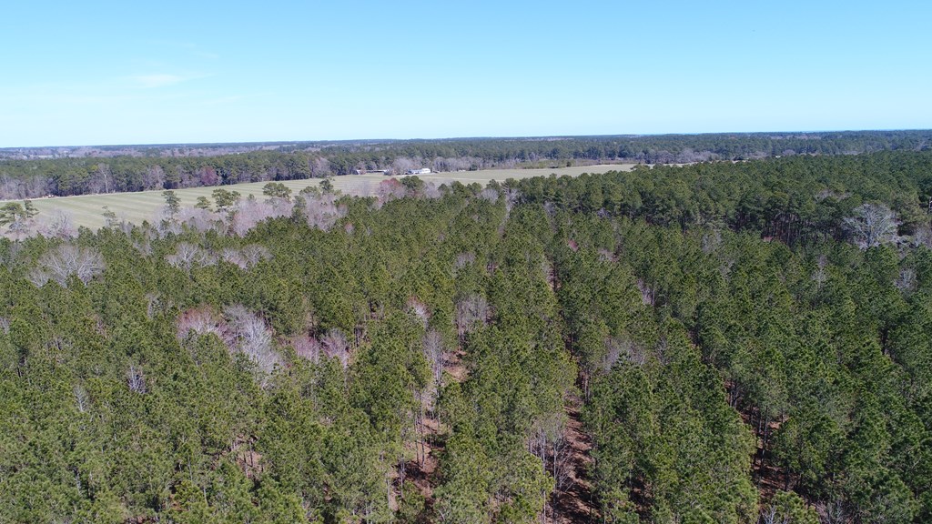0 Drummondtown Road Accomac, VA 23301 - Photo 13 of 50
