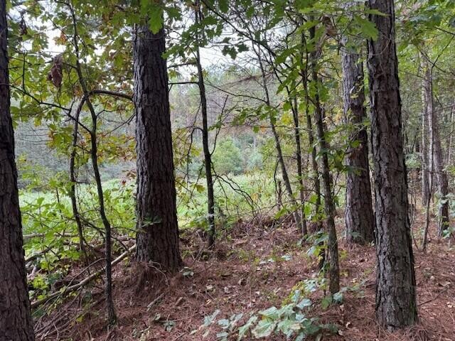 6 Fagin Road Madisonville, TN 37354 - Photo 8 of 17 Gallery Image 8