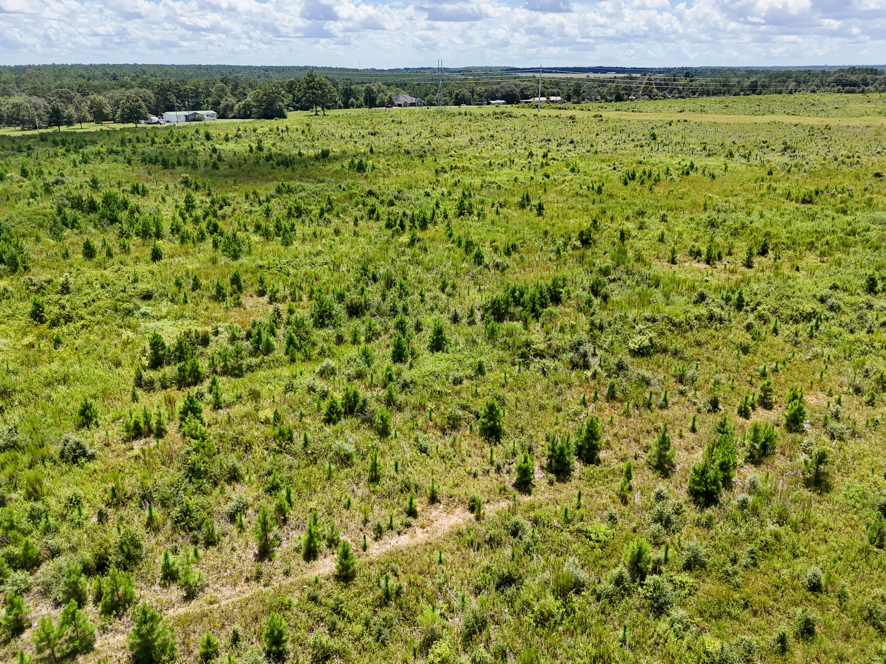2a Rd Defuniak Springs DeFuniak Springs, FL 32433 - Photo 9 of 21 DJI_20260812010142_0070_D