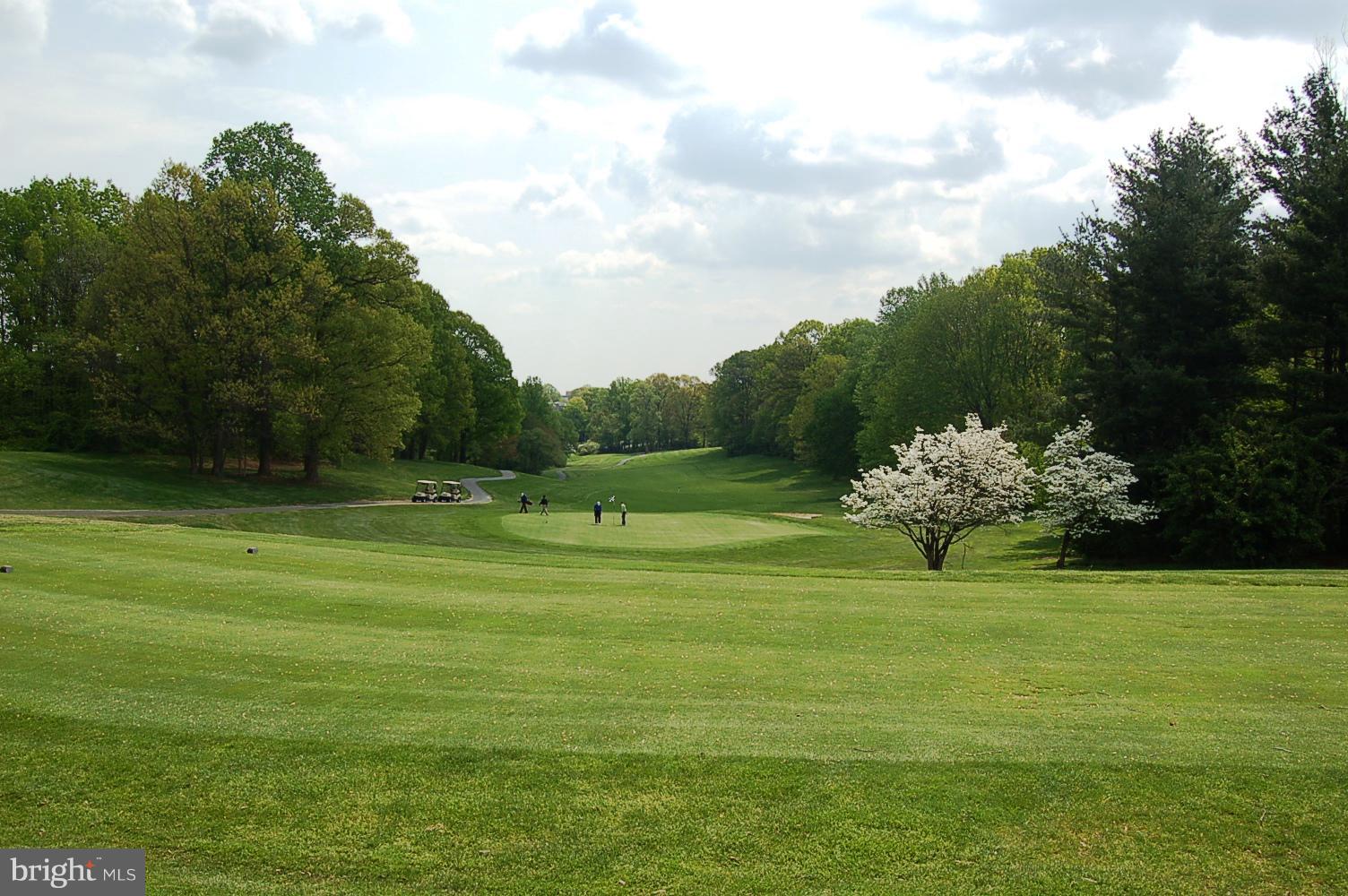 2281 Hunter's Run Drive, Unit 2281 Reston, VA 20191 - Photo 23 of 28 Reston National Golf Course