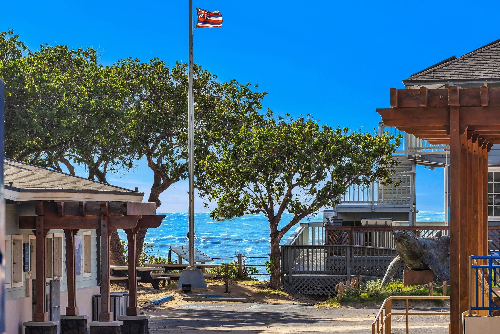 715 South Kihei Road, Unit 107 Kihei, HI 96753 - Photo 13 of 29 a view of a house with a tree