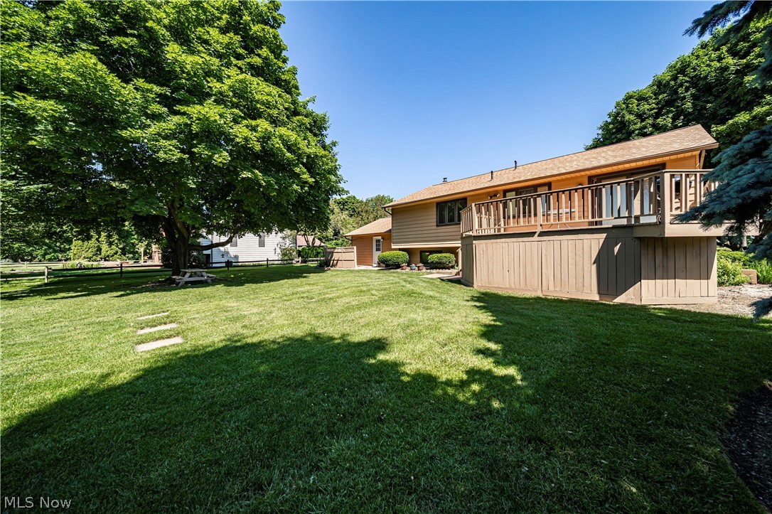 3010 Narrows Road Perry, OH 44081 - Photo 32 of 42 Backyard featuring large shade tree perfect for picnics outside.