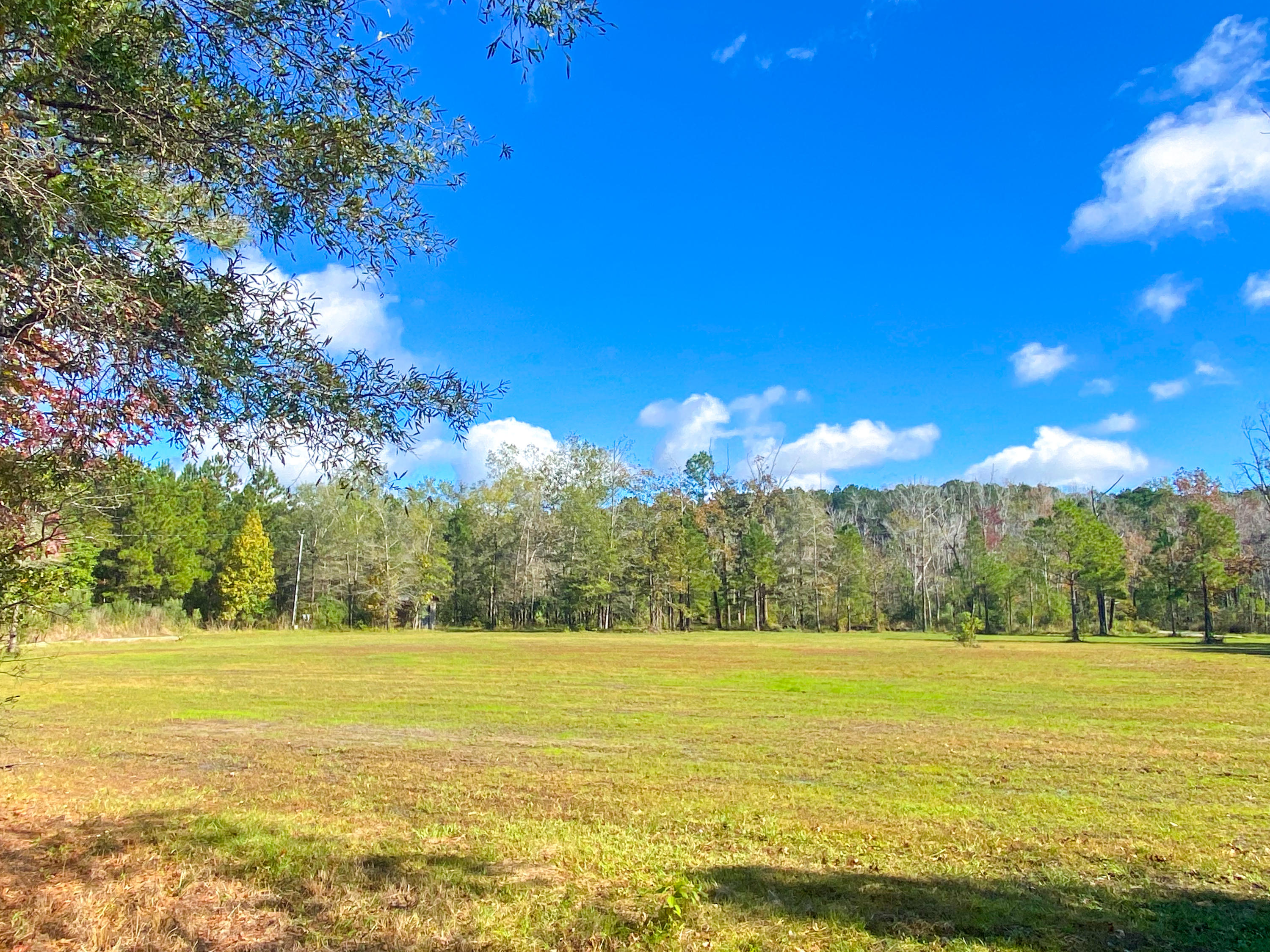 1 Woodville Road Mount Pleasant, SC 29429 - Photo 2 of 12 IMG_2839