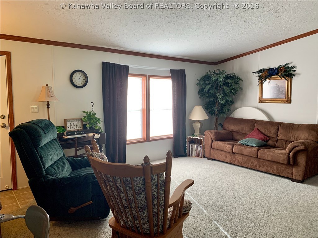878 Wavy Run Road Ripley, WV 25271 - Photo 3 of 30 Gallery Image 3