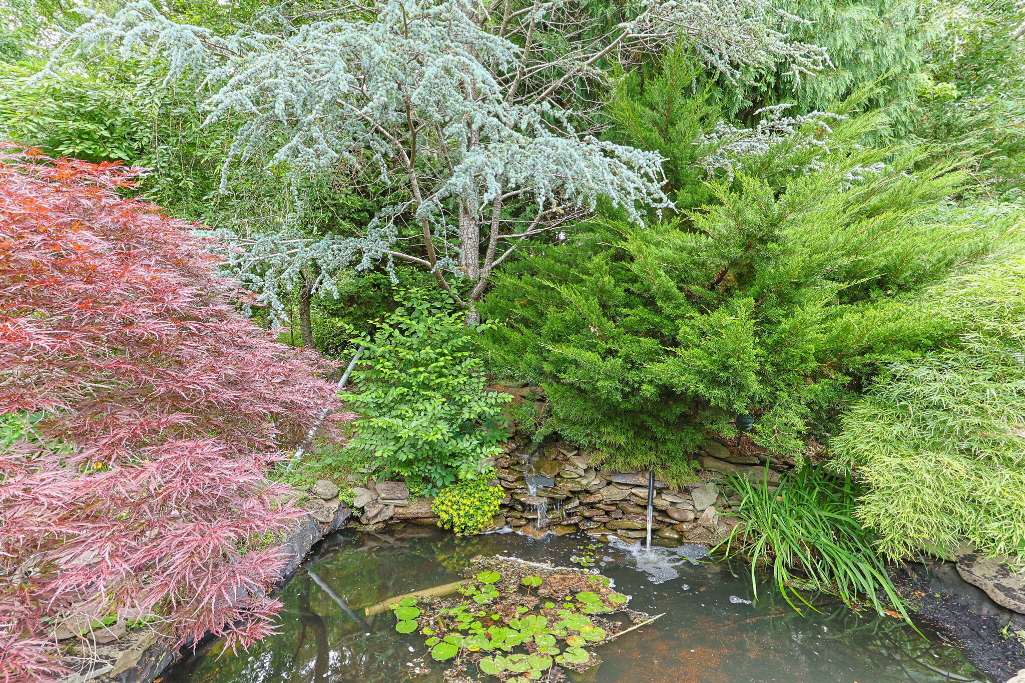 88 Acre Hill Road Barnstable, MA 02630 - Photo 42 of 52 49-web-or-mls-88-acre-hill-rd
