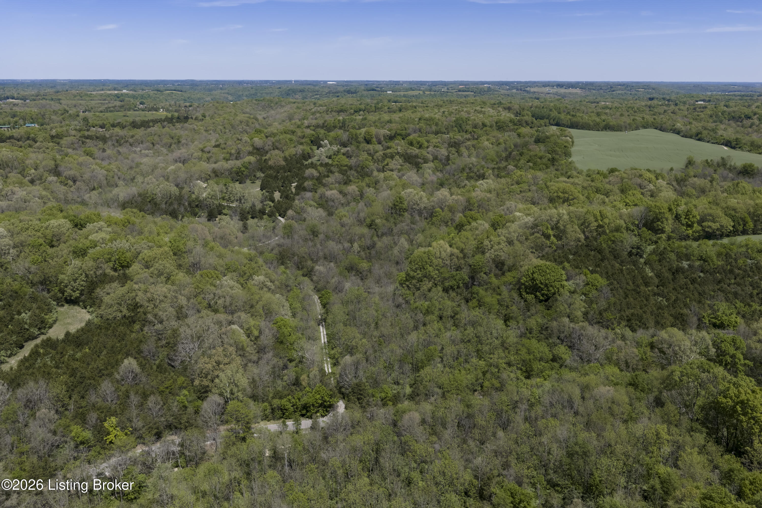 2305 Reuben Smith Road Loretto, KY 40037 - Photo 62 of 91 Aerial view of driveway to house