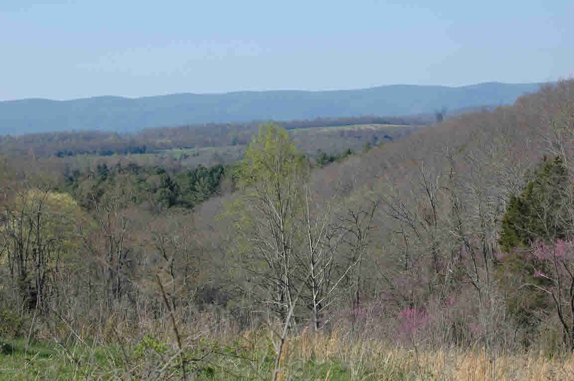 Lot J Springdale Road Pearisburg, VA 24134 - Photo 46 of 51 Gallery Image 46