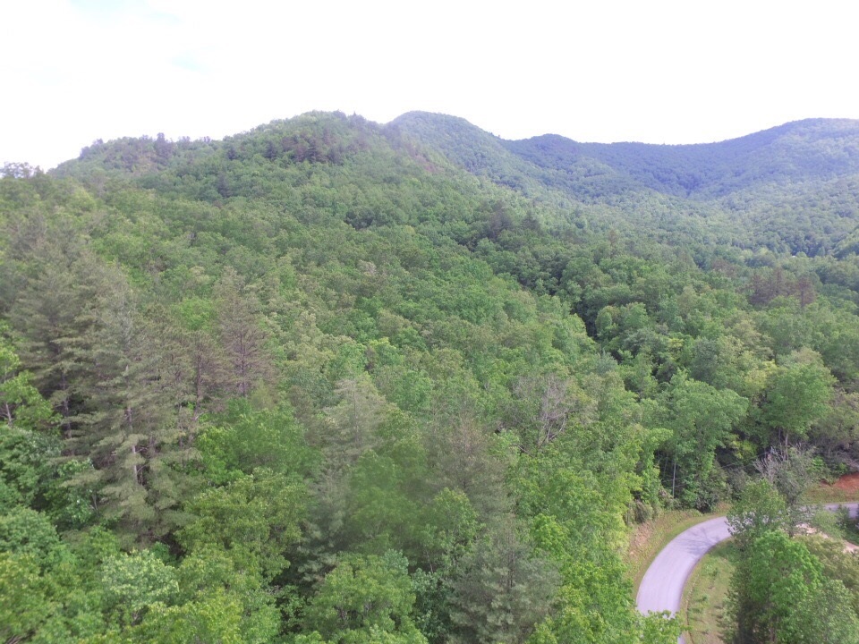 0 High Darnell Rabun Gap, GA 30568 - Photo 1 of 1 Gallery Image 1