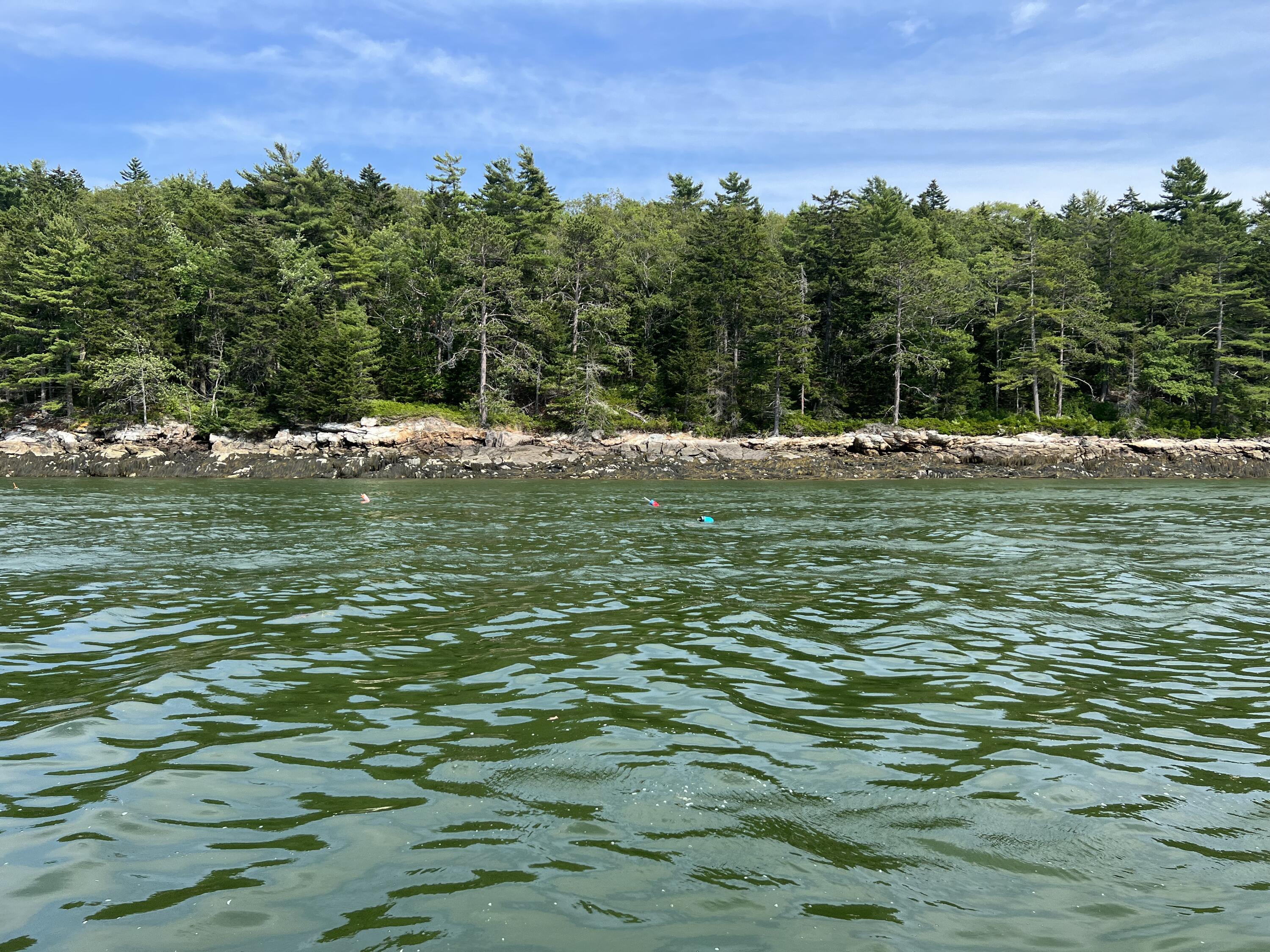 53 Abbot Cove Road West Bath, ME 04530 - Photo 11 of 17 53 Abbott Cove