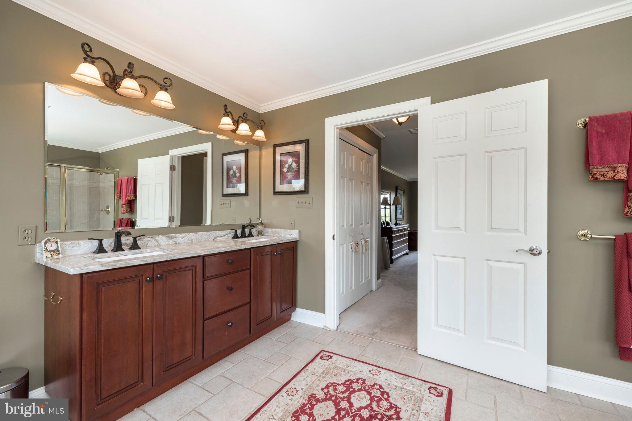 1131 Braefield Road Chester Springs, PA 19425 - Photo 20 of 38 Master Bath