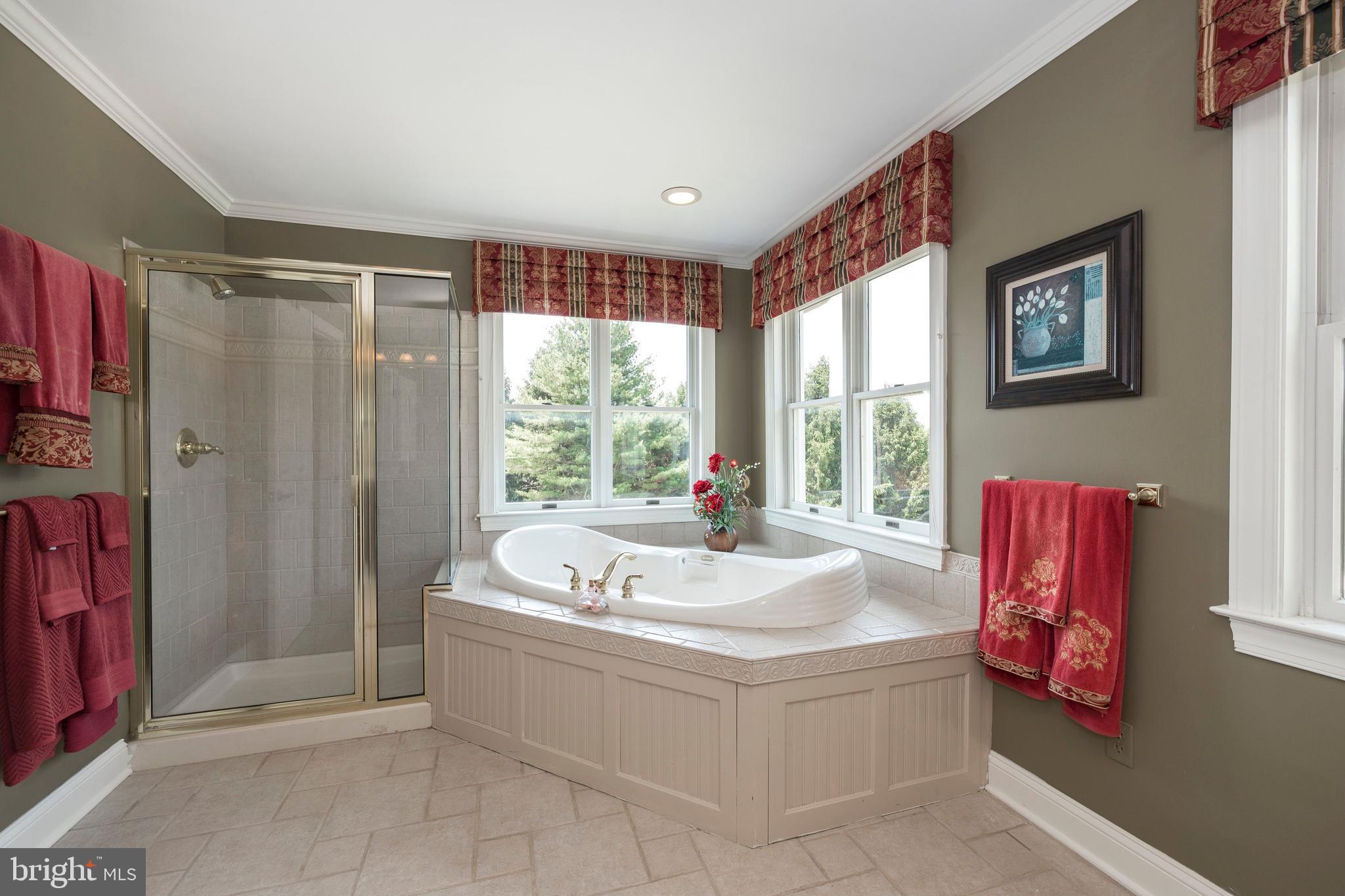 1131 Braefield Road Chester Springs, PA 19425 - Photo 21 of 38 Master Bath