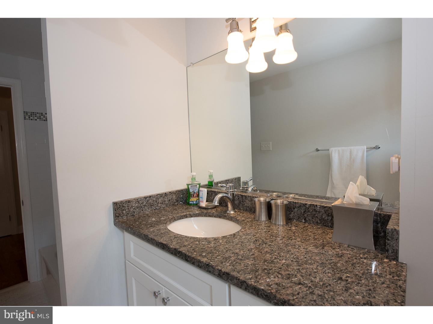 546 Leopard Road Berwyn, PA 19312 - Photo 13 of 24 Bathroom