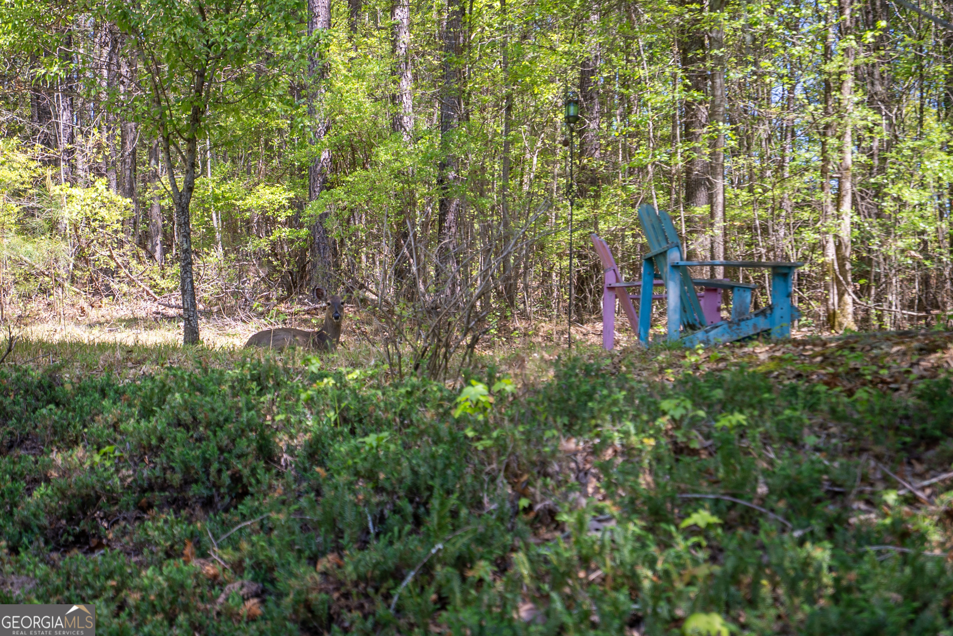 1660 Maple Ridge Drive Loganville, GA 30052 - Photo 63 of 66