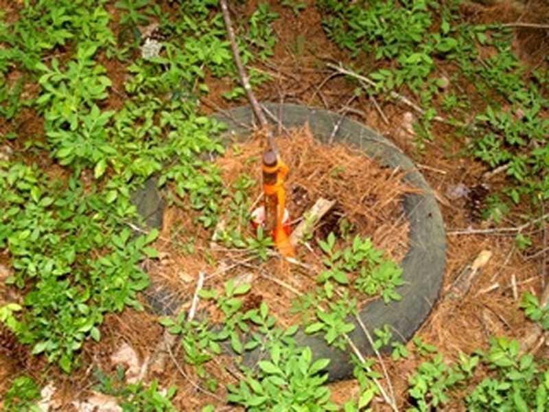 Lot 0 Velvet Road Deblois, ME 04622 - Photo 4 of 23 Land/Lot.