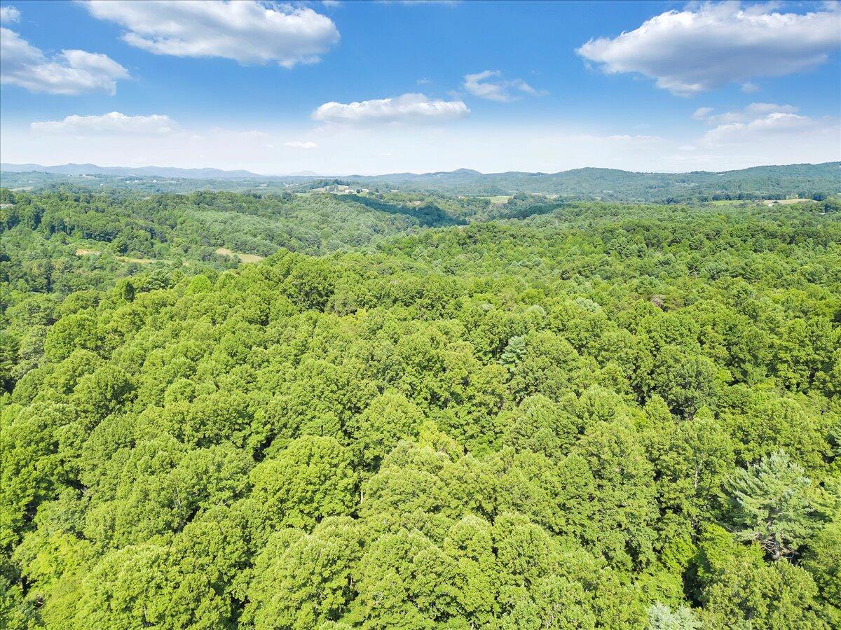 0 Sowers Mill Dam Road Northeast Riner, VA 24149 - Photo 9 of 17 09-DJI_0837