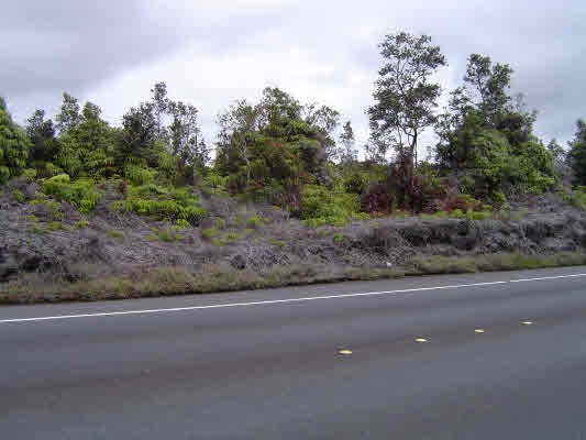 11-3222 Volcano Road Volcano, HI 96771 - Photo 1 of 2 a view of a yard with a street