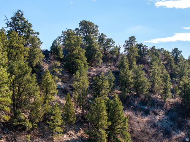 6 South N Frk Road Orderville, UT 84758 - Photo 22 of 68 View of local wilderness