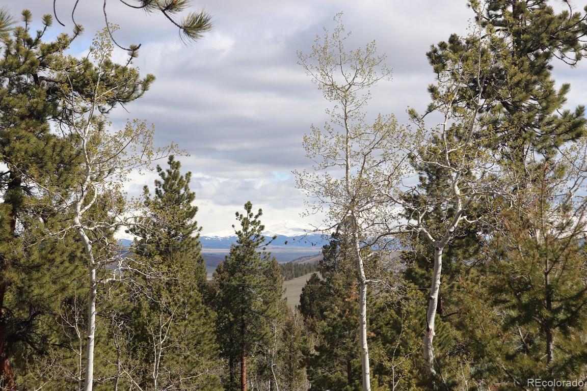1676 Bellows Road Hartsel, CO 80449 - Photo 1 of 10 Gallery Image 1