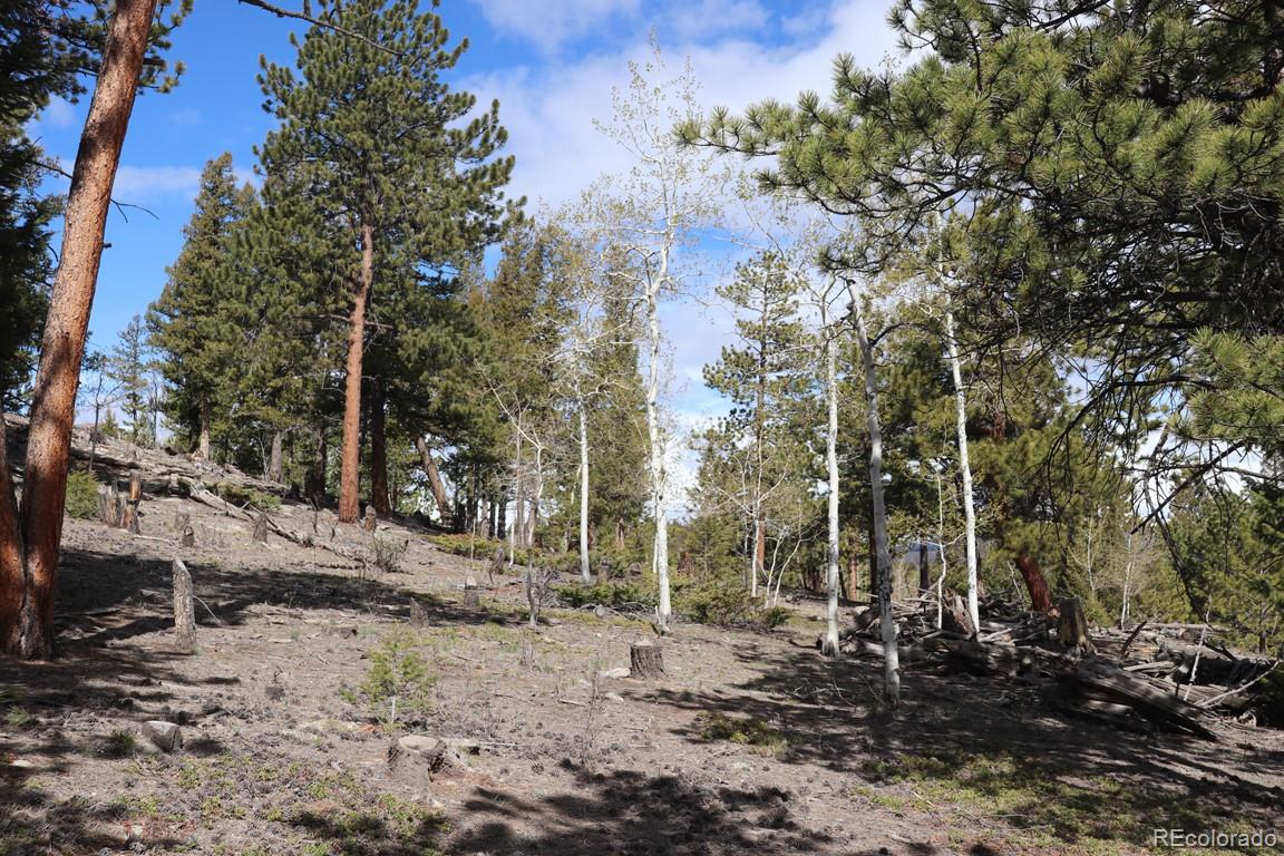 1676 Bellows Road Hartsel, CO 80449 - Photo 3 of 10 Gallery Image 3