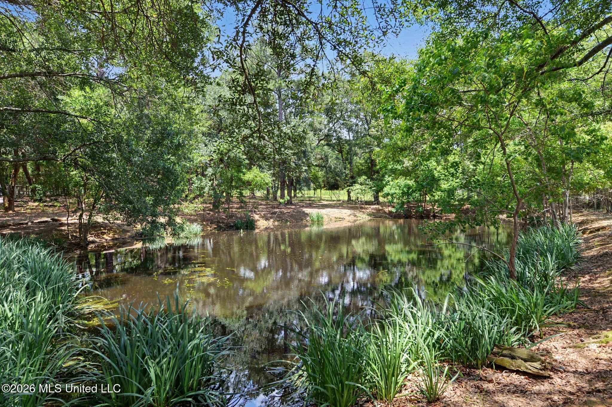 254 Dozier Rogers Road Lucedale, MS 39452 - Photo 42 of 61 040